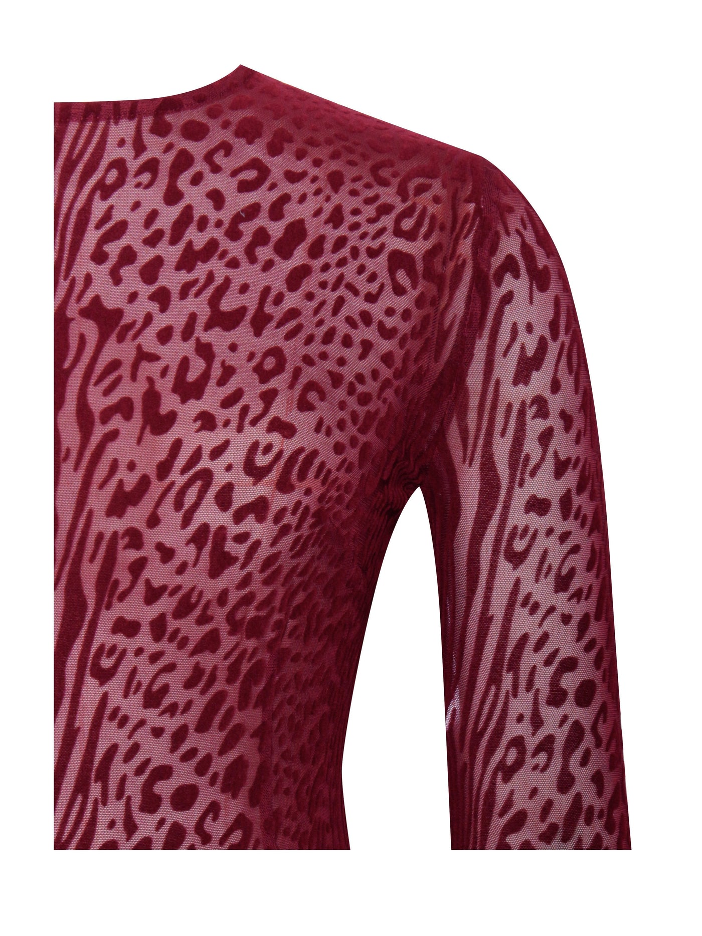 Sally | Statement Mesh Dress