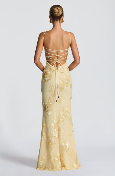 Blaine - Maxi Dress